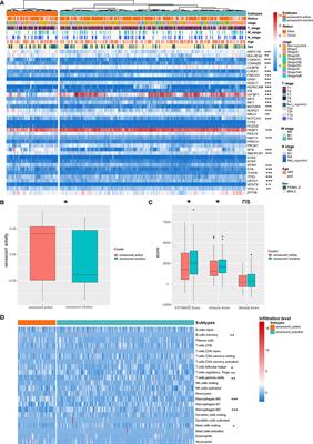 Integrated Analysis Revealing the Senescence-Mediated Immune Heterogeneity of HCC and Construction of a Prognostic Model Based on Senescence-Related Non-Coding RNA Network